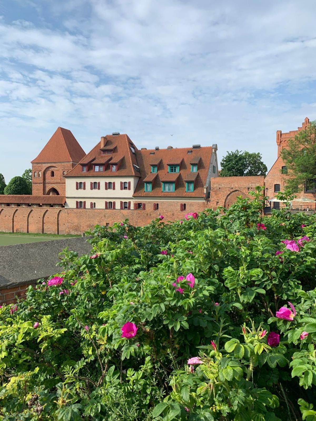 Apartament Kryształowy Stary Toruń Zewnętrze zdjęcie
